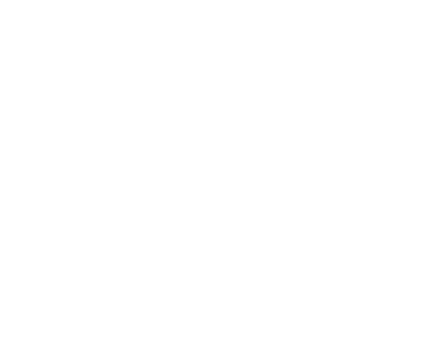LEAP Logo